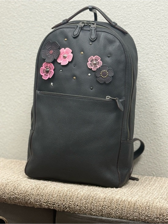 north face backpack brown jester womens The 